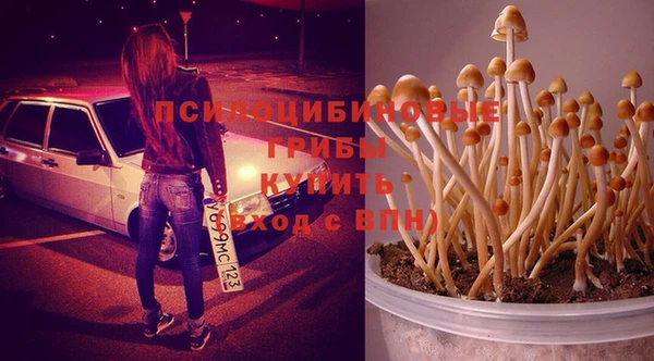Альфа ПВП Алексеевка