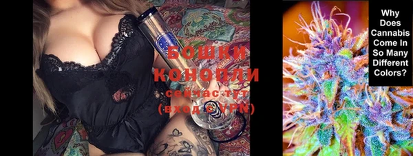 прущие крисы Няндома