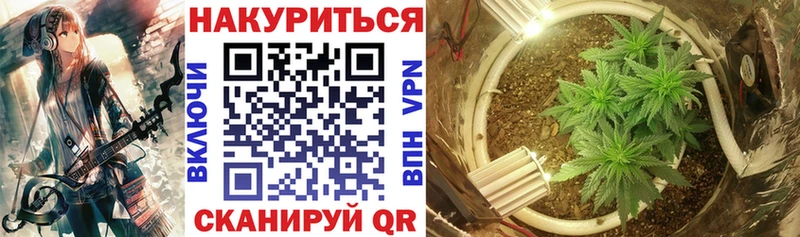 Шишки марихуана конопля  купить наркоту  Топки 